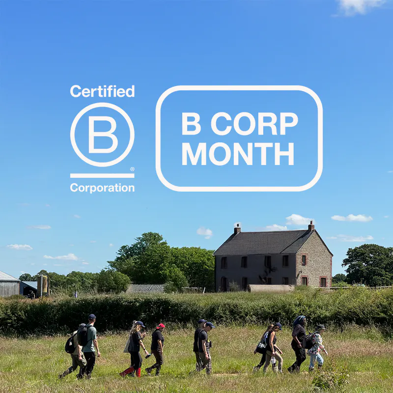 B Corp Month header