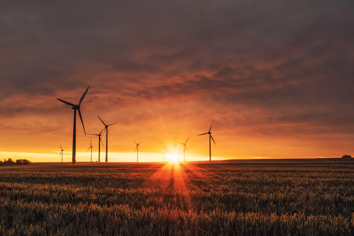 a field with windmills in the background of sunshine