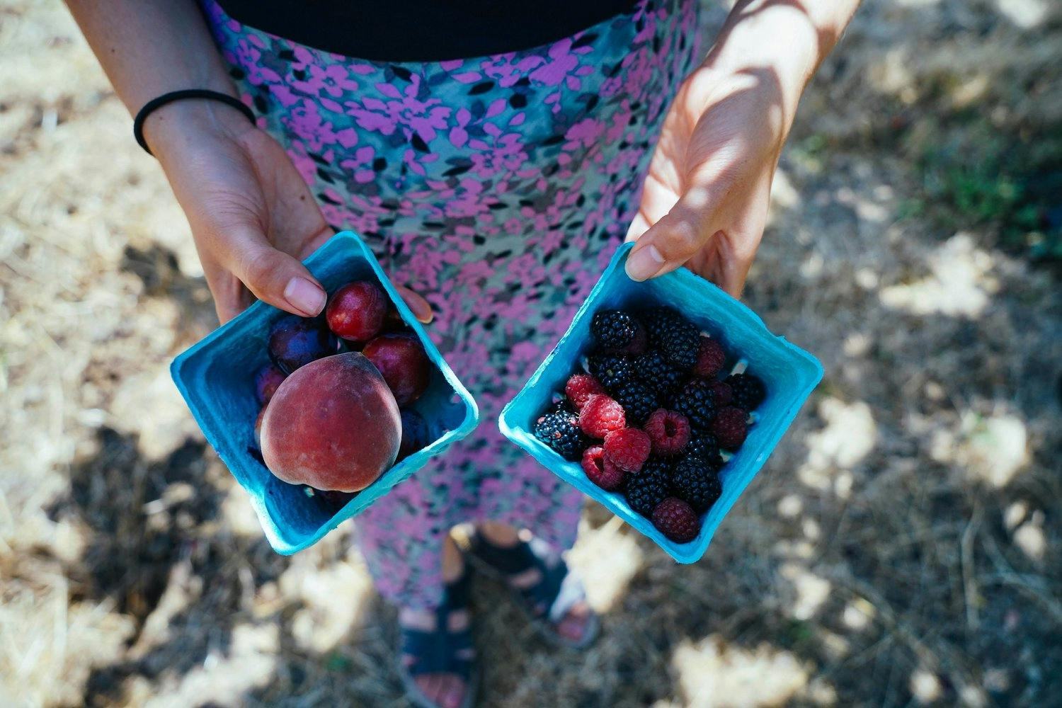 a person holding two blue containers with fruit