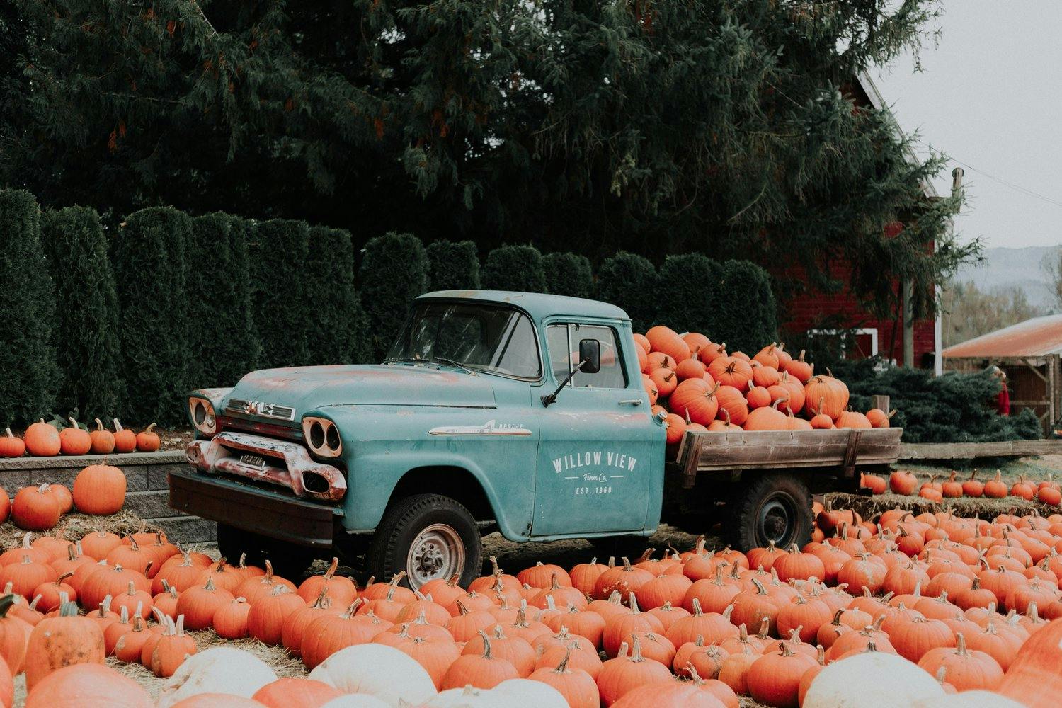 a truck with a lot of pumpkins