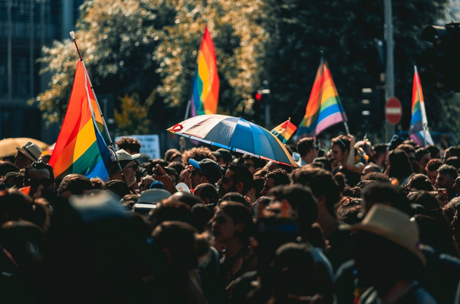 a crowd of people holding rainbow flags
