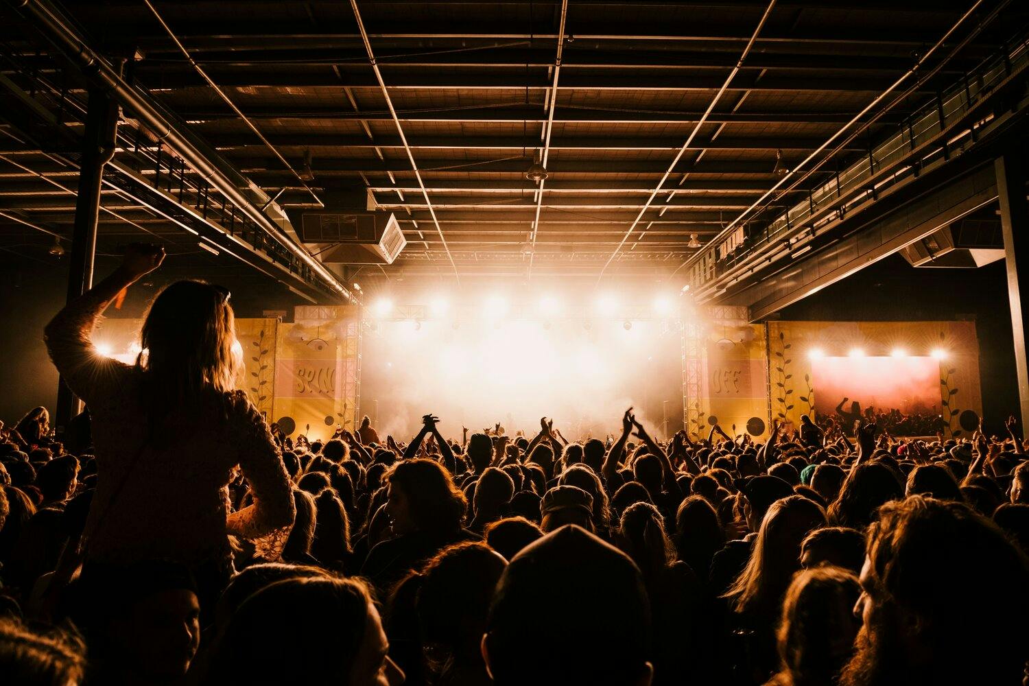 a crowd of people at a concert