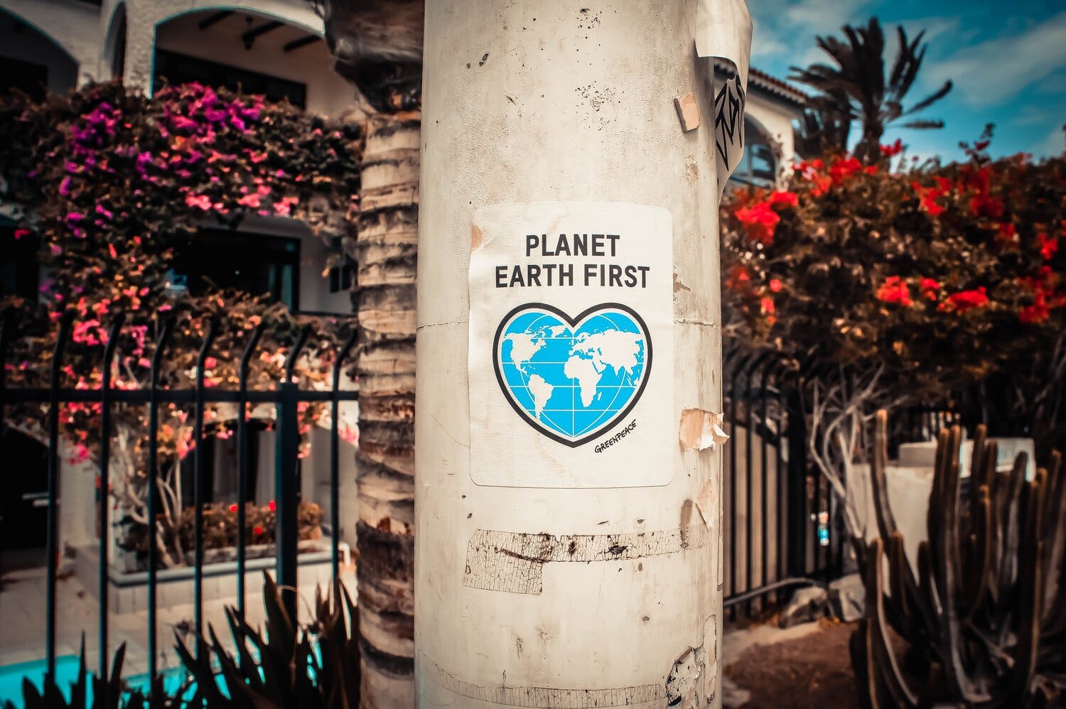 a sign on a pole saying planet earth first