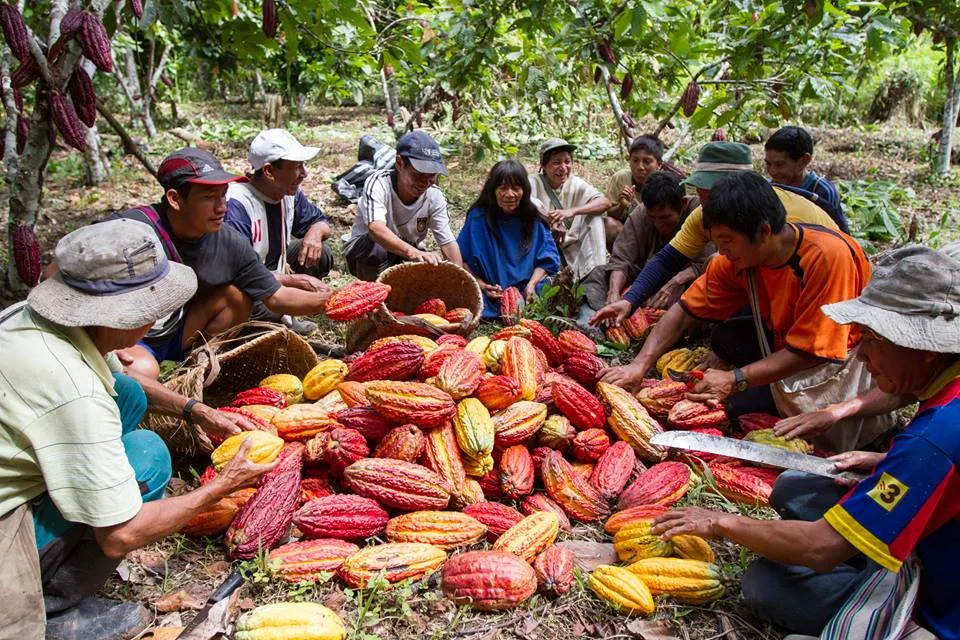 a group of people sitting around a pile of fruit