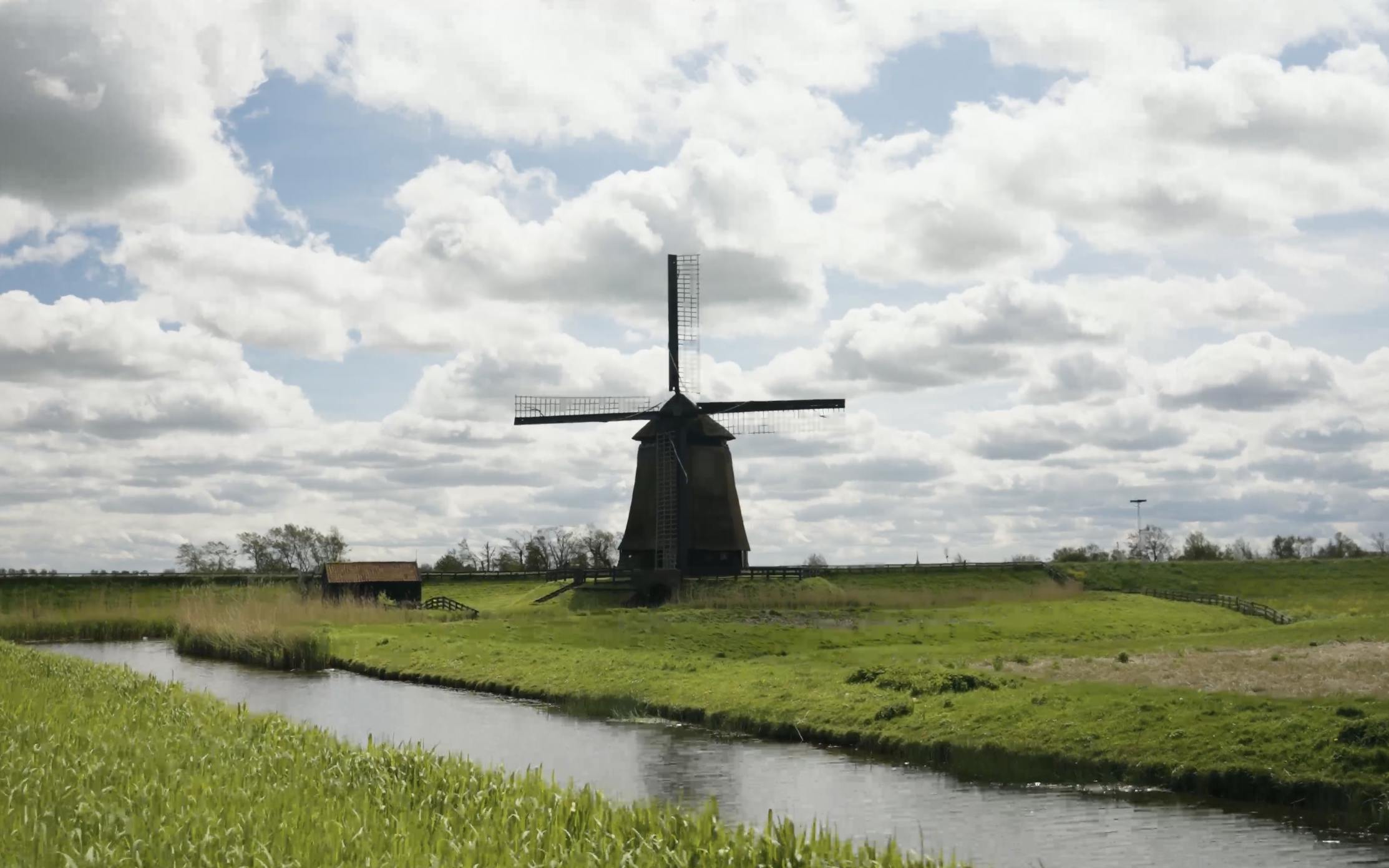 dutch windmill amsterdam tulips tour