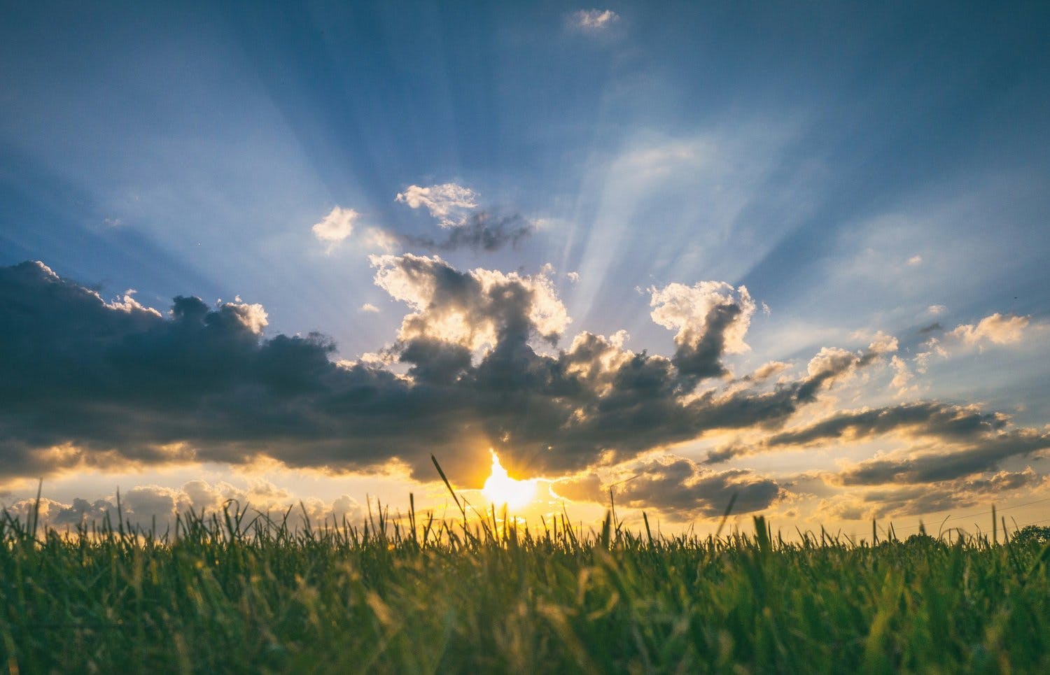 Sun rising or setting over a field with clouds
