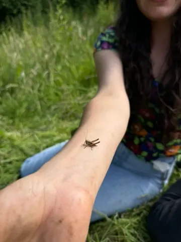 bug on girls arm