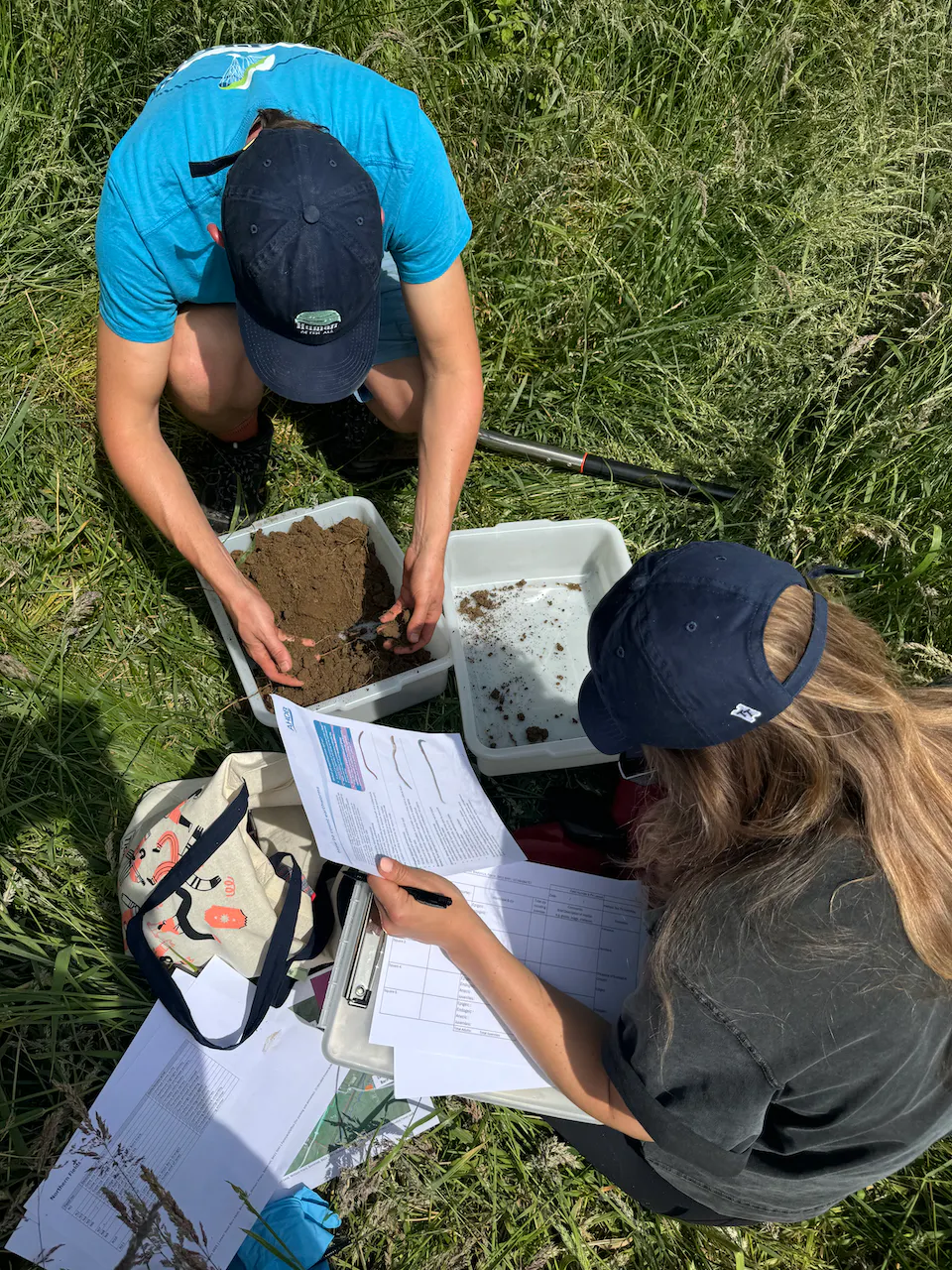 two people looking at their instructions in a field