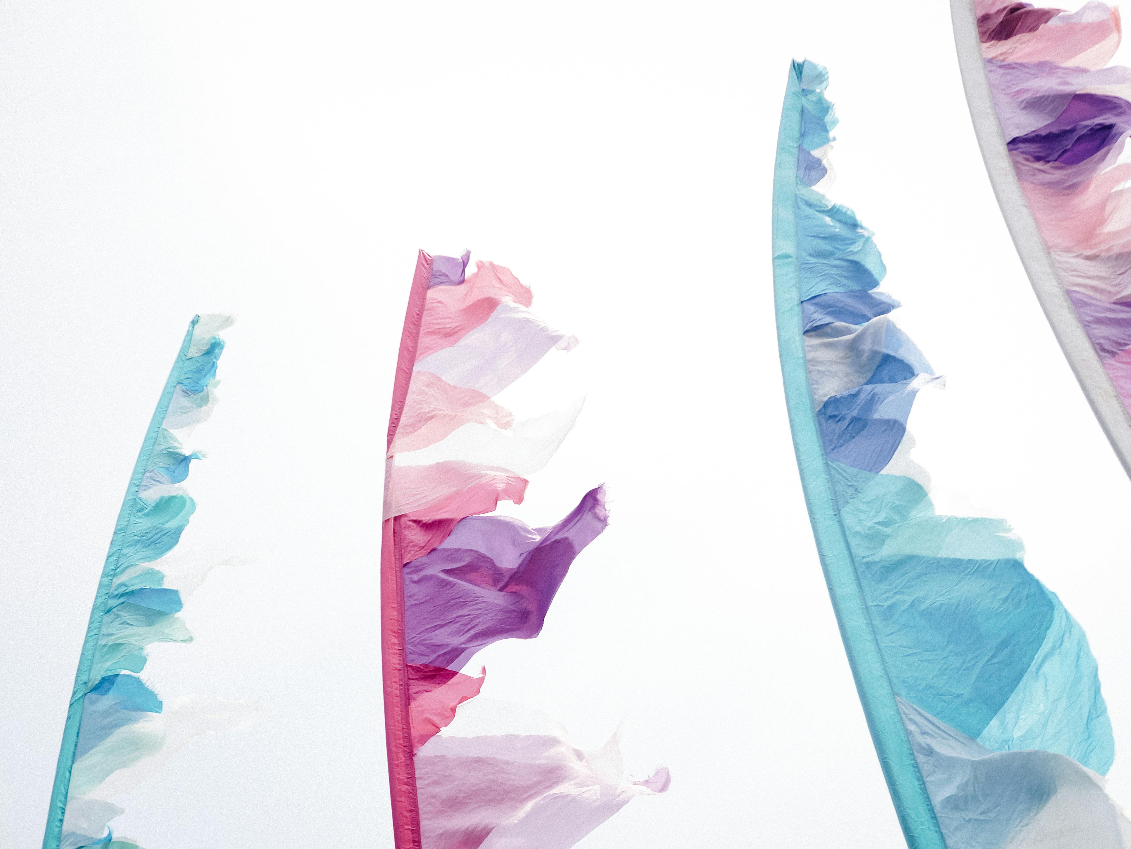 The Great Estate Festival flags blowing in wind