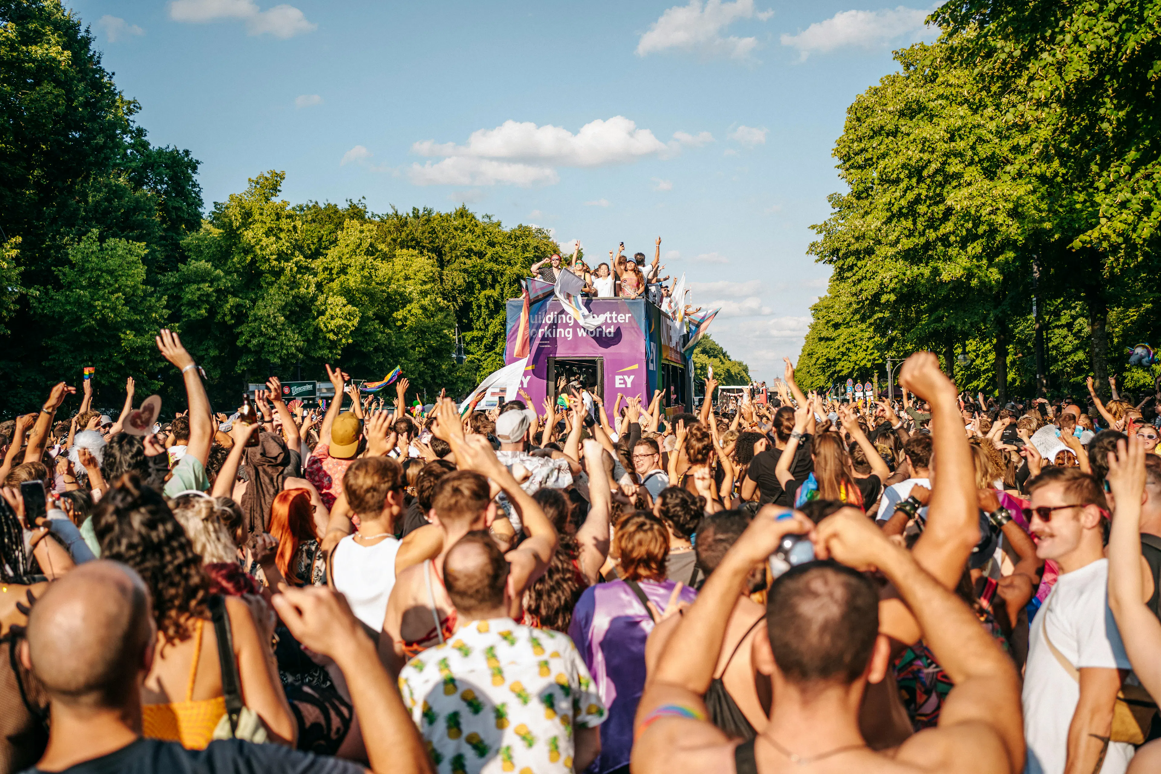 Crowd at music festival
